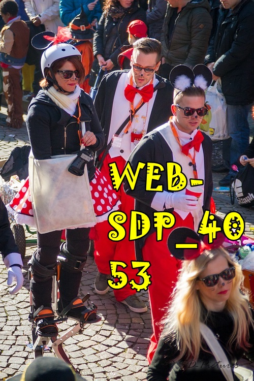 WEB SDP 4053