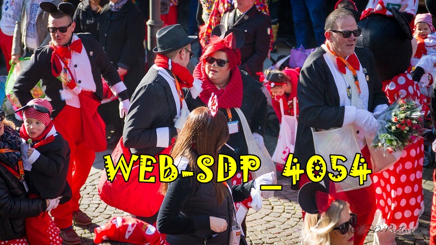 WEB SDP 4054