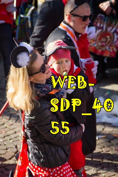 WEB SDP 4055