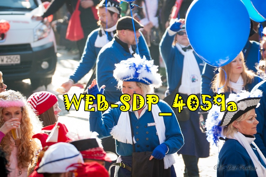 WEB SDP 4059a