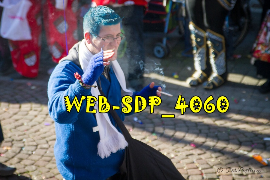 WEB SDP 4060