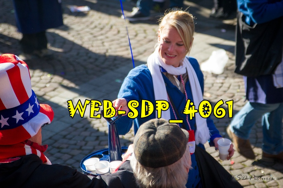 WEB SDP 4061