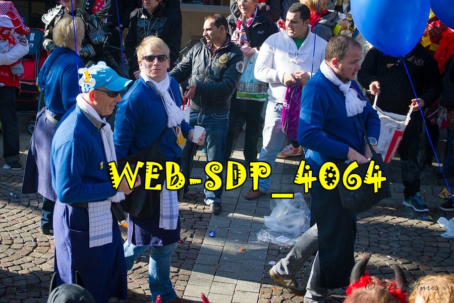 WEB SDP 4064