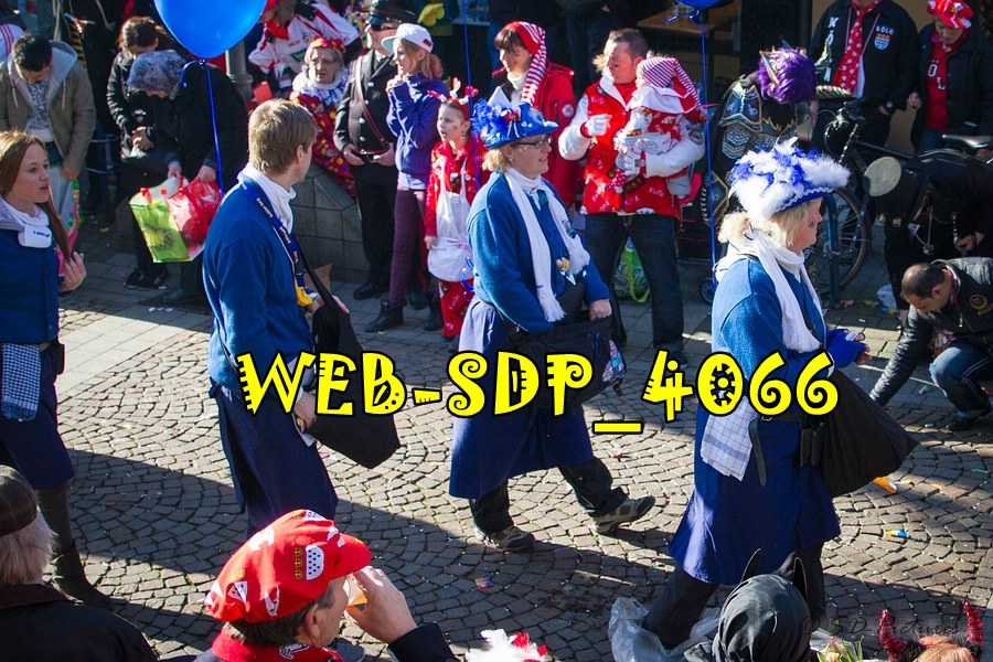 WEB SDP 4066