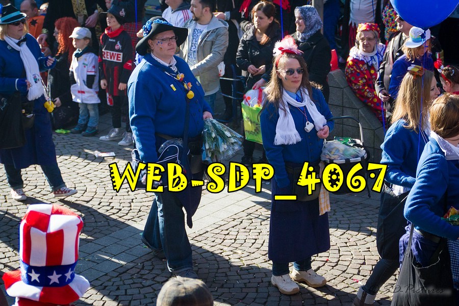 WEB SDP 4067