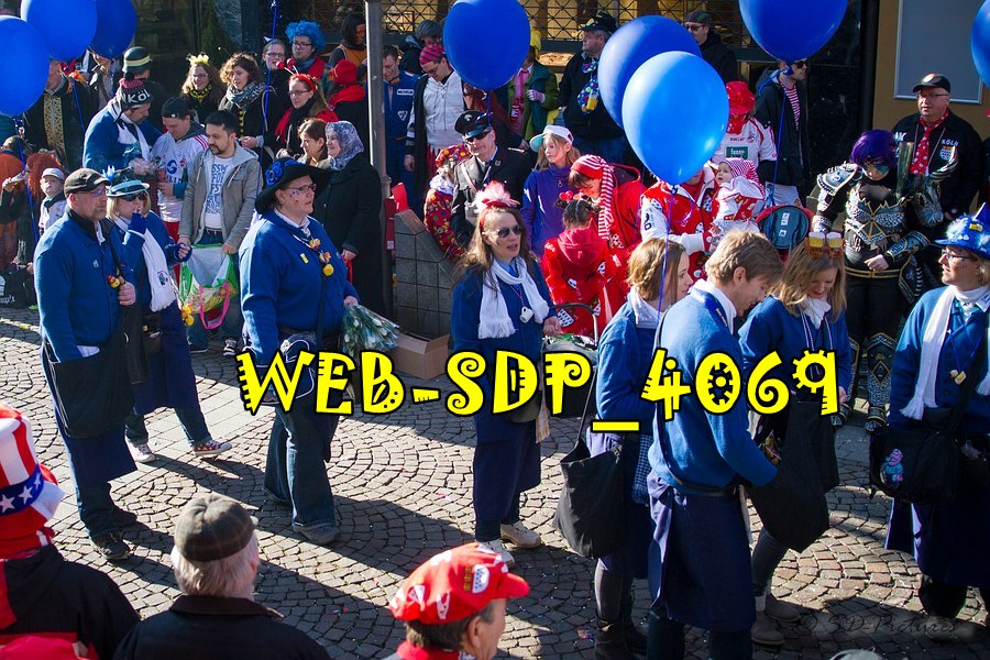 WEB SDP 4069