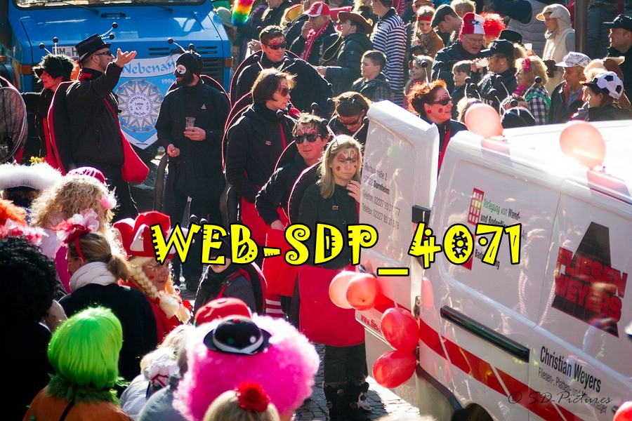 WEB SDP 4071