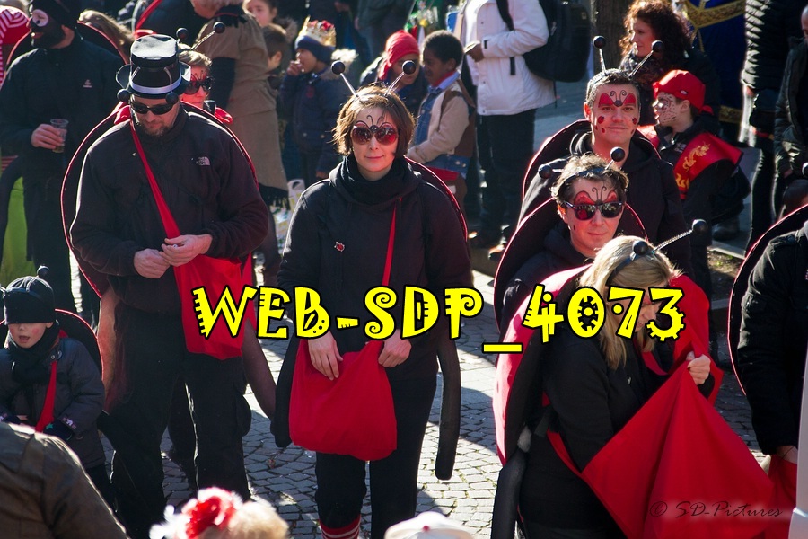 WEB SDP 4073