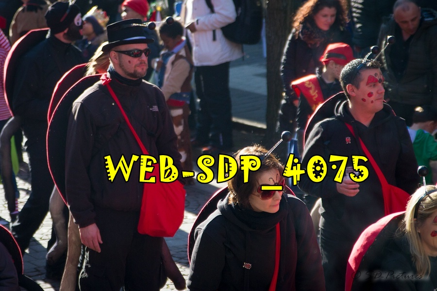 WEB SDP 4075