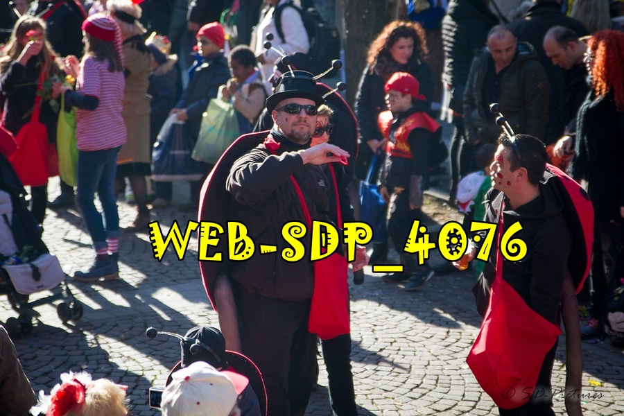 WEB SDP 4076