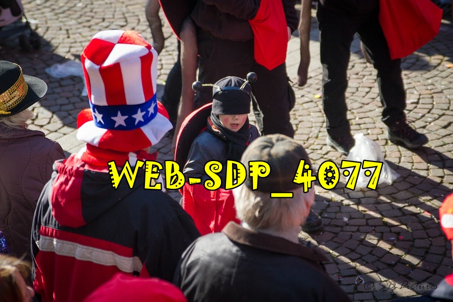 WEB SDP 4077