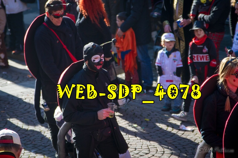 WEB SDP 4078