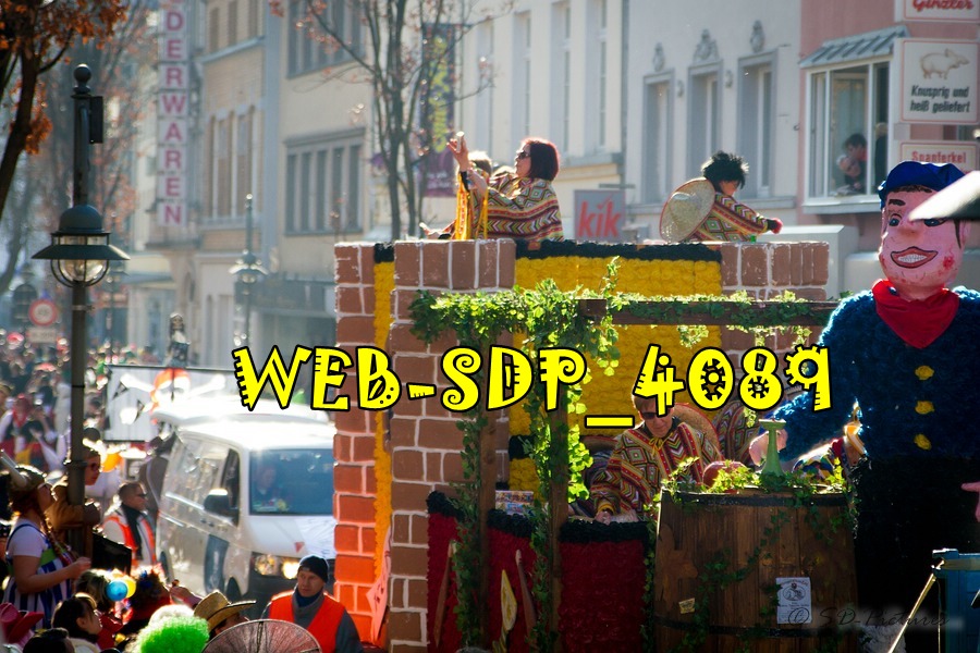WEB SDP 4089
