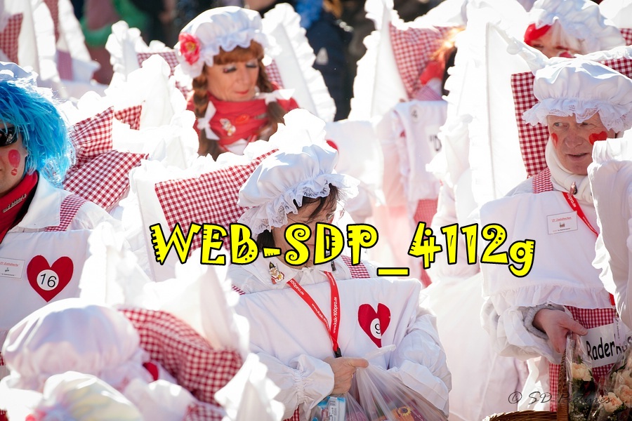 WEB SDP 4112g