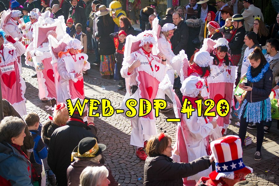 WEB SDP 4120