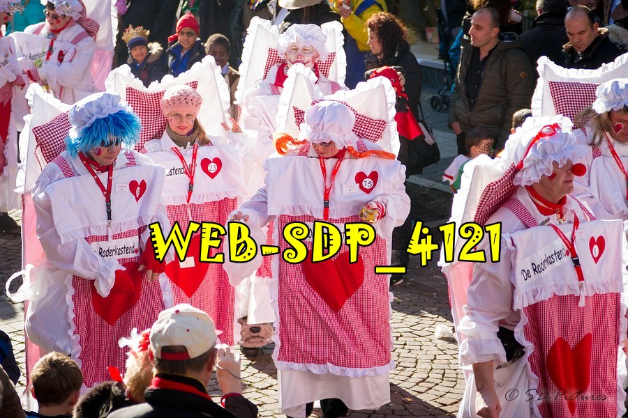 WEB SDP 4121