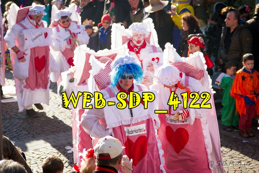 WEB SDP 4122