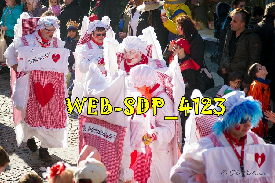 WEB SDP 4123