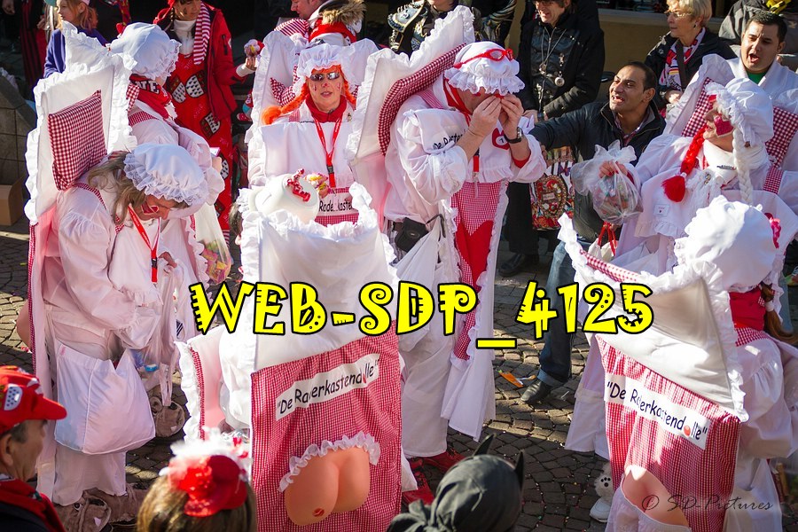 WEB SDP 4125