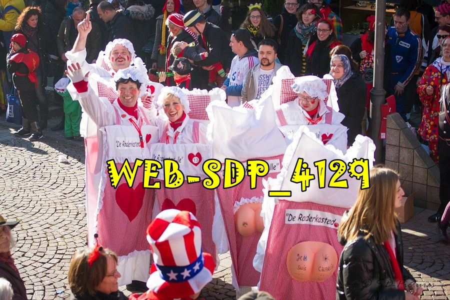 WEB SDP 4129