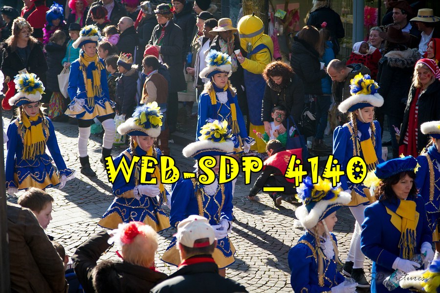 WEB SDP 4140