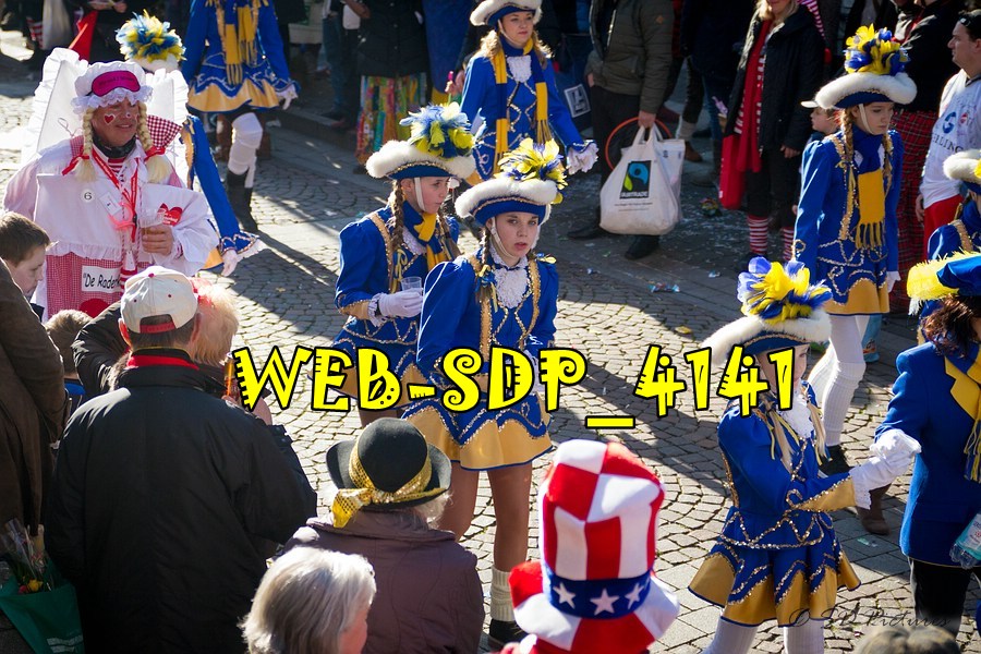 WEB SDP 4141