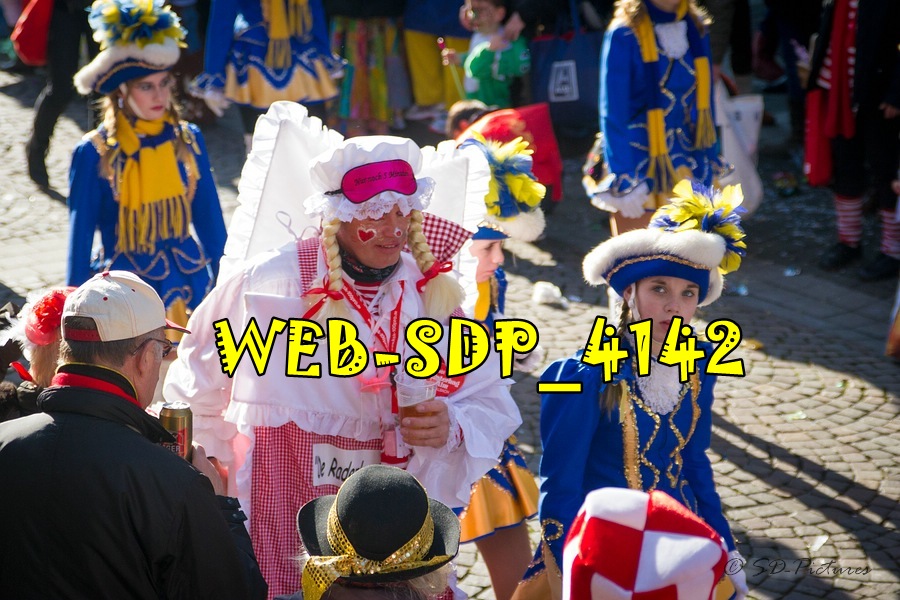 WEB SDP 4142