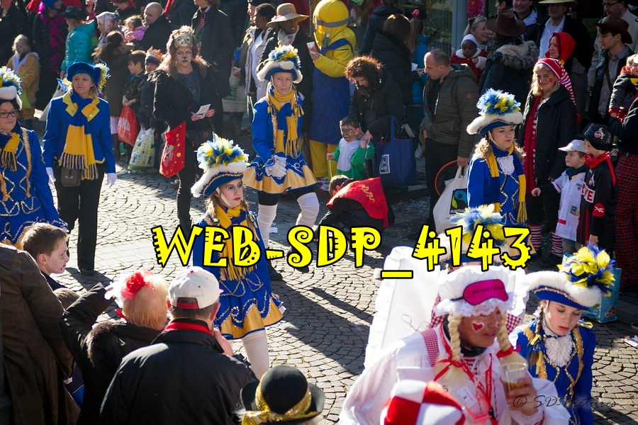 WEB SDP 4143