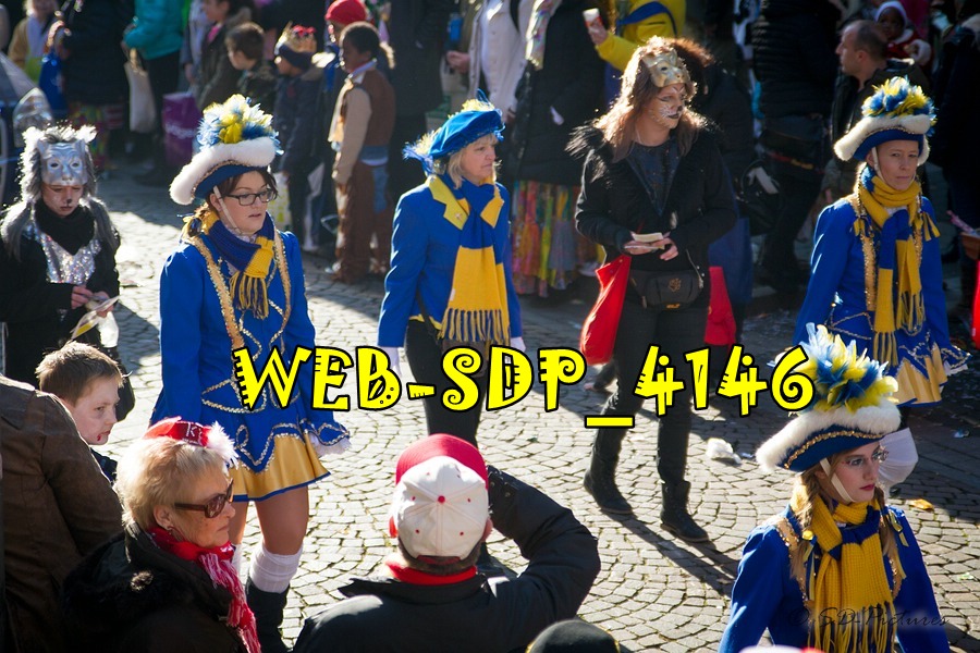 WEB SDP 4146