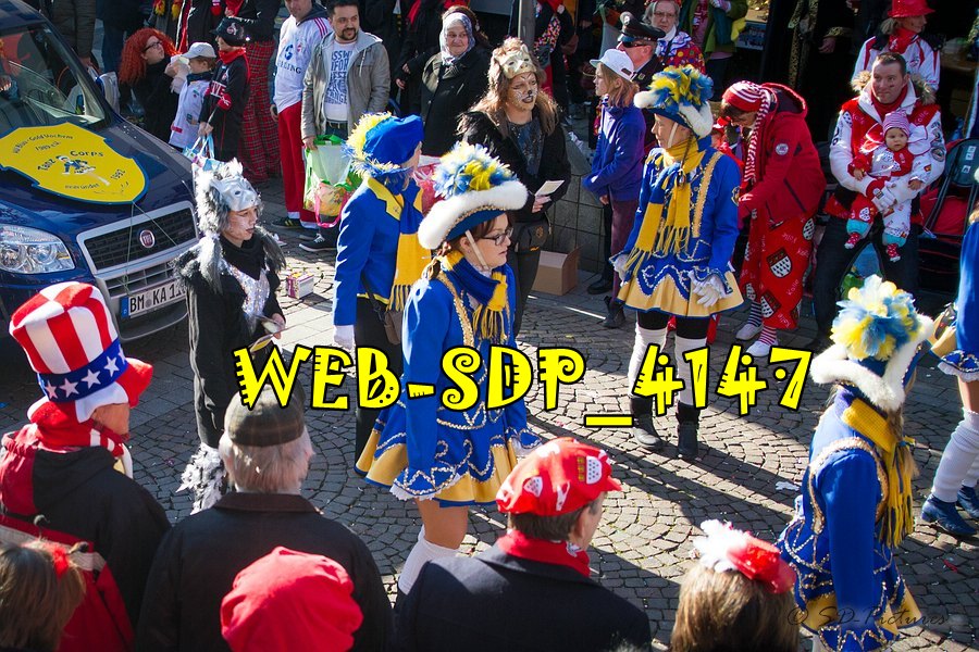 WEB SDP 4147