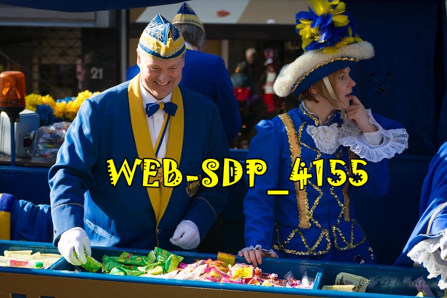WEB SDP 4155