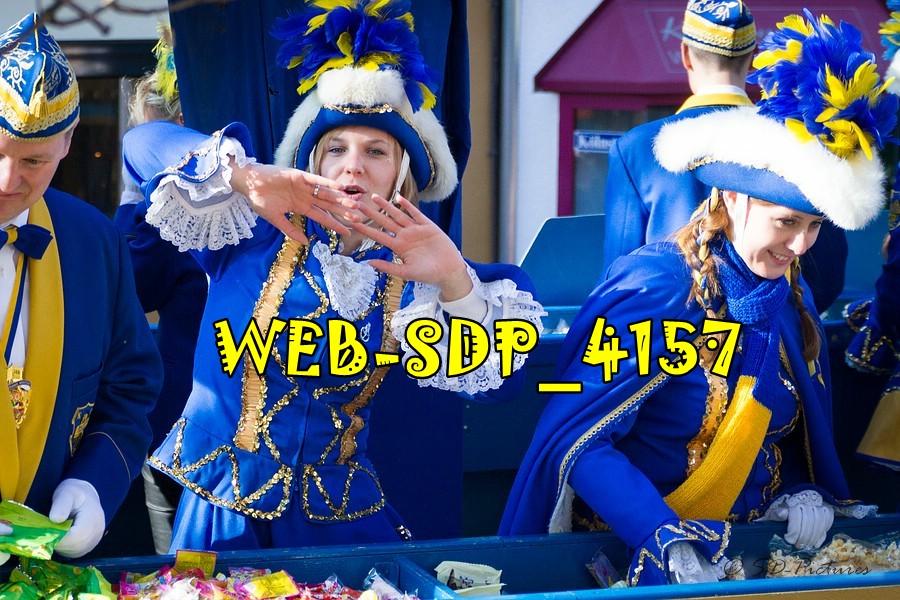 WEB SDP 4157