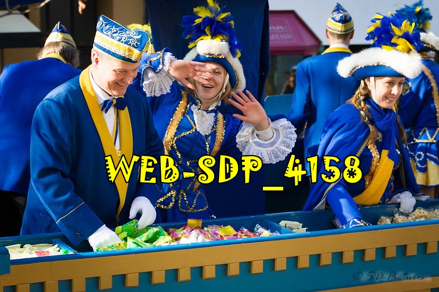 WEB SDP 4158