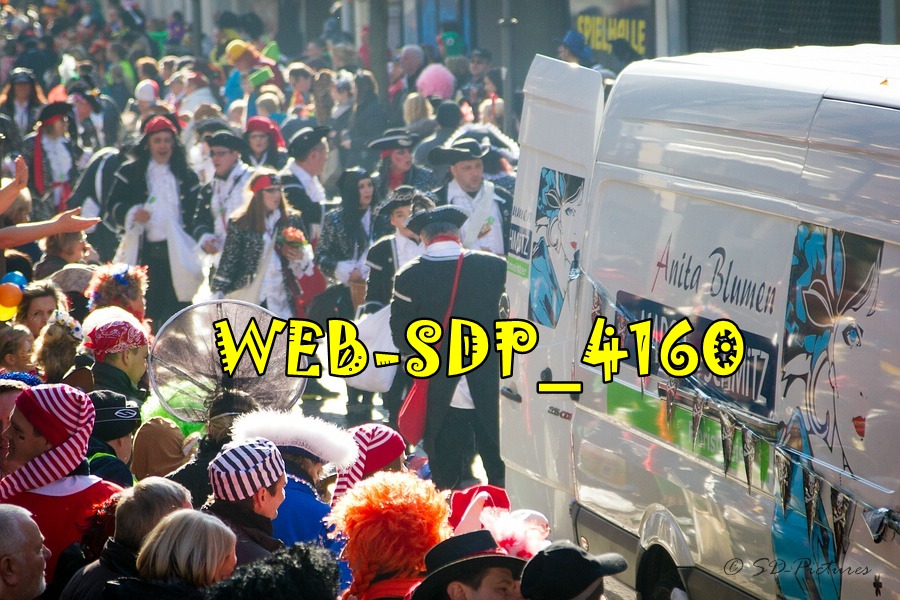 WEB SDP 4160