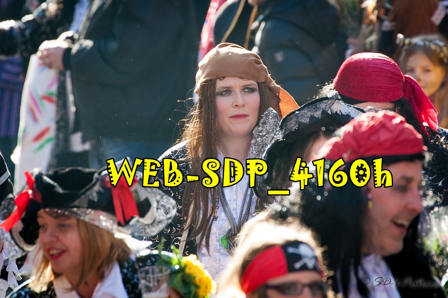 WEB SDP 4160h