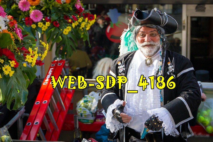 WEB SDP 4186