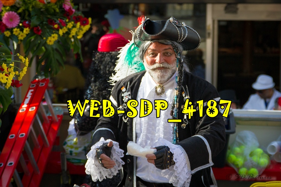 WEB SDP 4187
