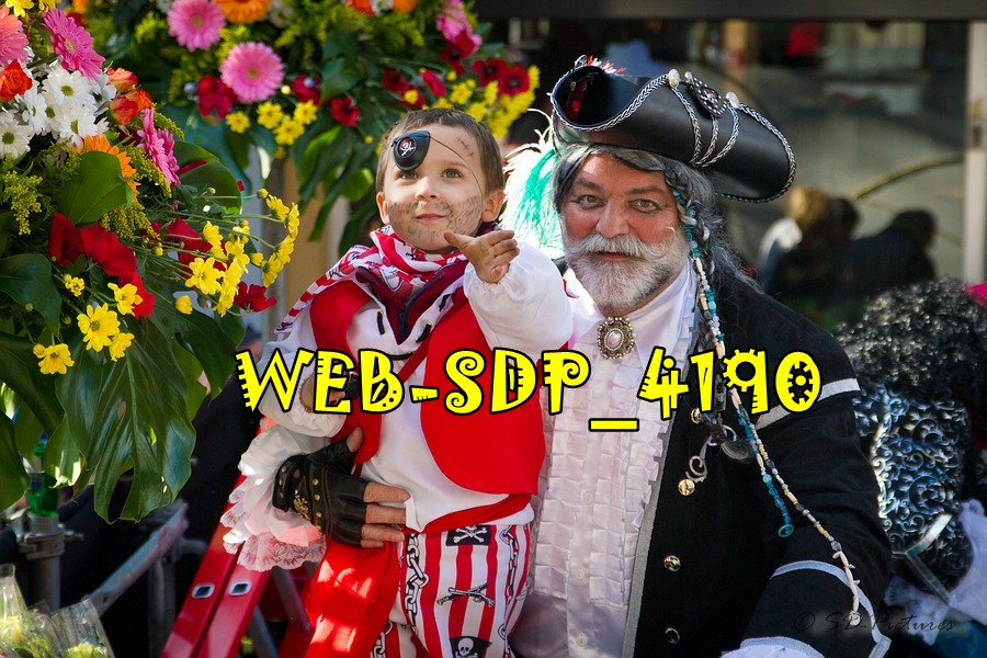 WEB SDP 4190