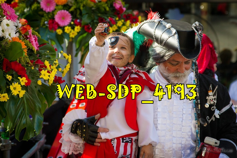 WEB SDP 4193