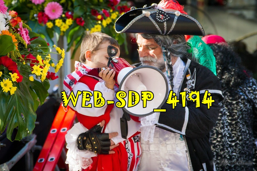 WEB SDP 4194