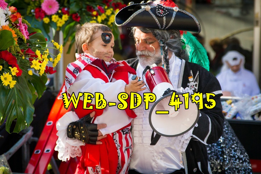 WEB SDP 4195