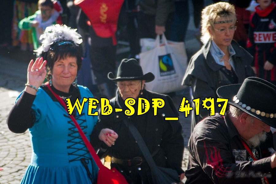 WEB SDP 4197