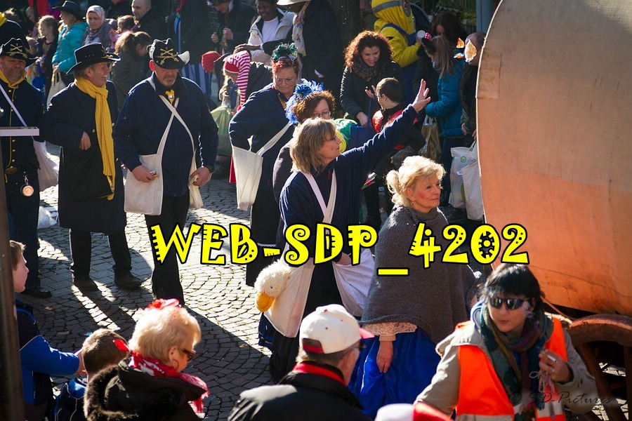 WEB SDP 4202