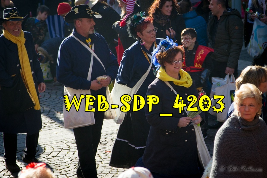 WEB SDP 4203
