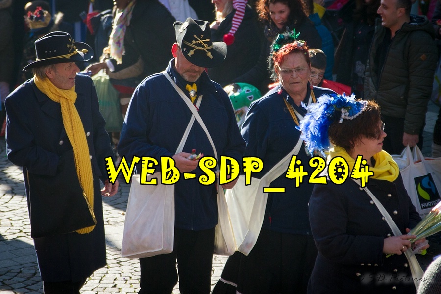 WEB SDP 4204