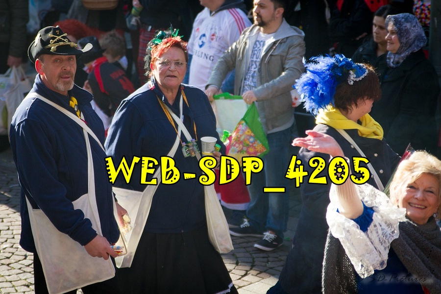 WEB SDP 4205