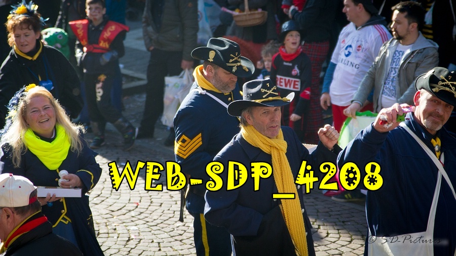 WEB SDP 4208