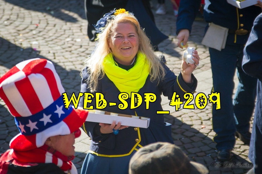WEB SDP 4209
