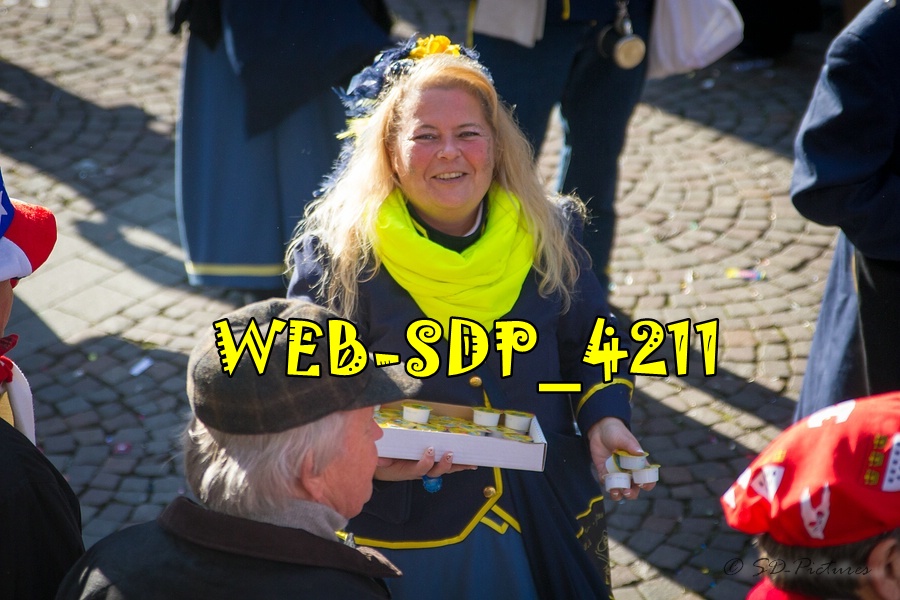 WEB SDP 4211