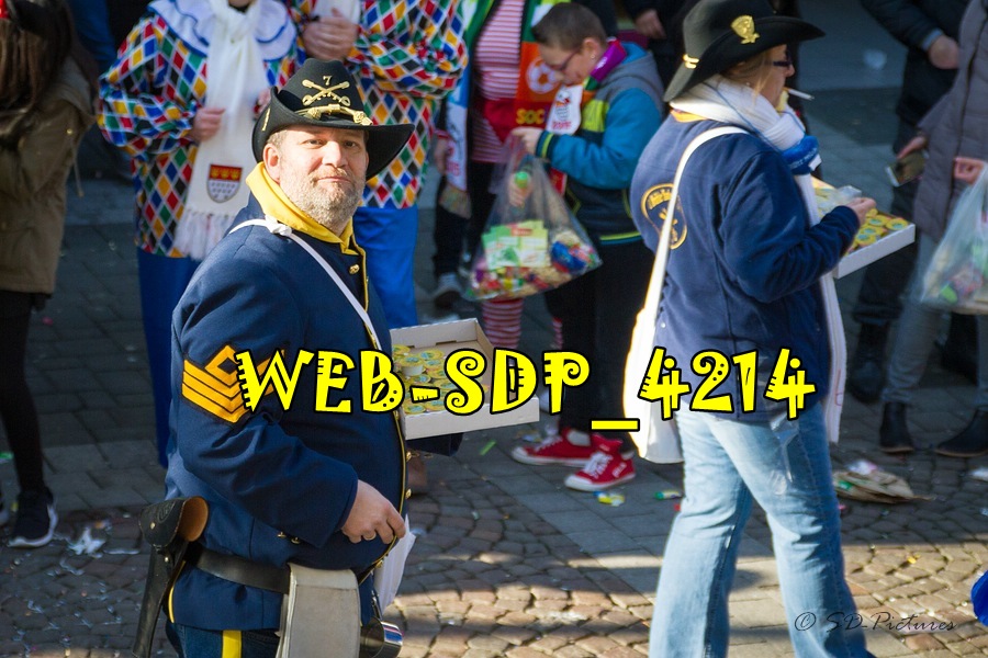 WEB SDP 4214
